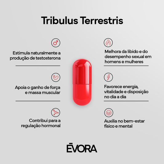 Tribulus Terrestris 500mg 30 cápsulas