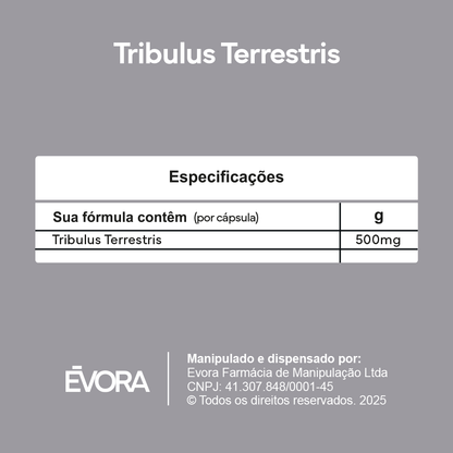 Tribulus Terrestris 500mg 30 cápsulas